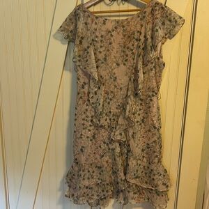 Dress Large NWT $138  Chelsea & Violet Pink Green Floral